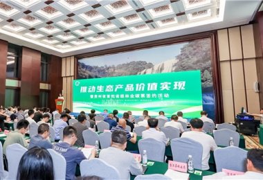 乐动在线登录乐动新手怎么玩
